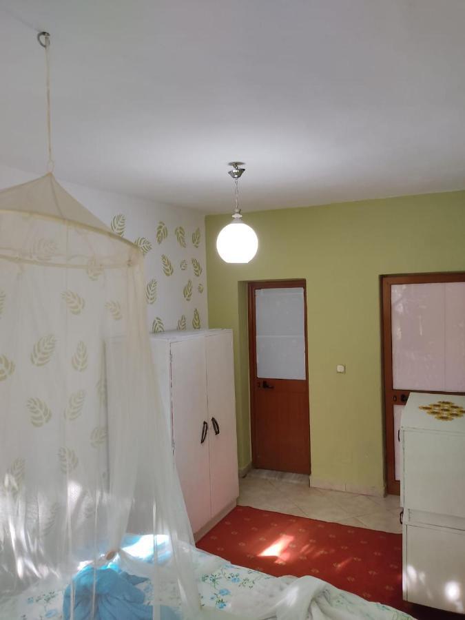 Private Apartment Elbasan Historic Center Exterior foto
